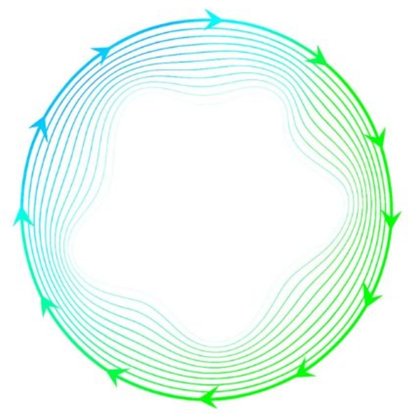 Neumann Kreislauf.jpg
