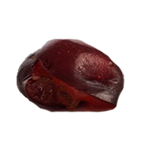 traube-2.png