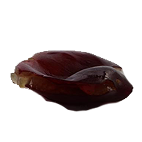 traube-3.png