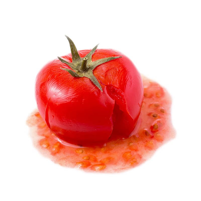 Vier_Schritte_Tomaten-2 Kopie.jpg