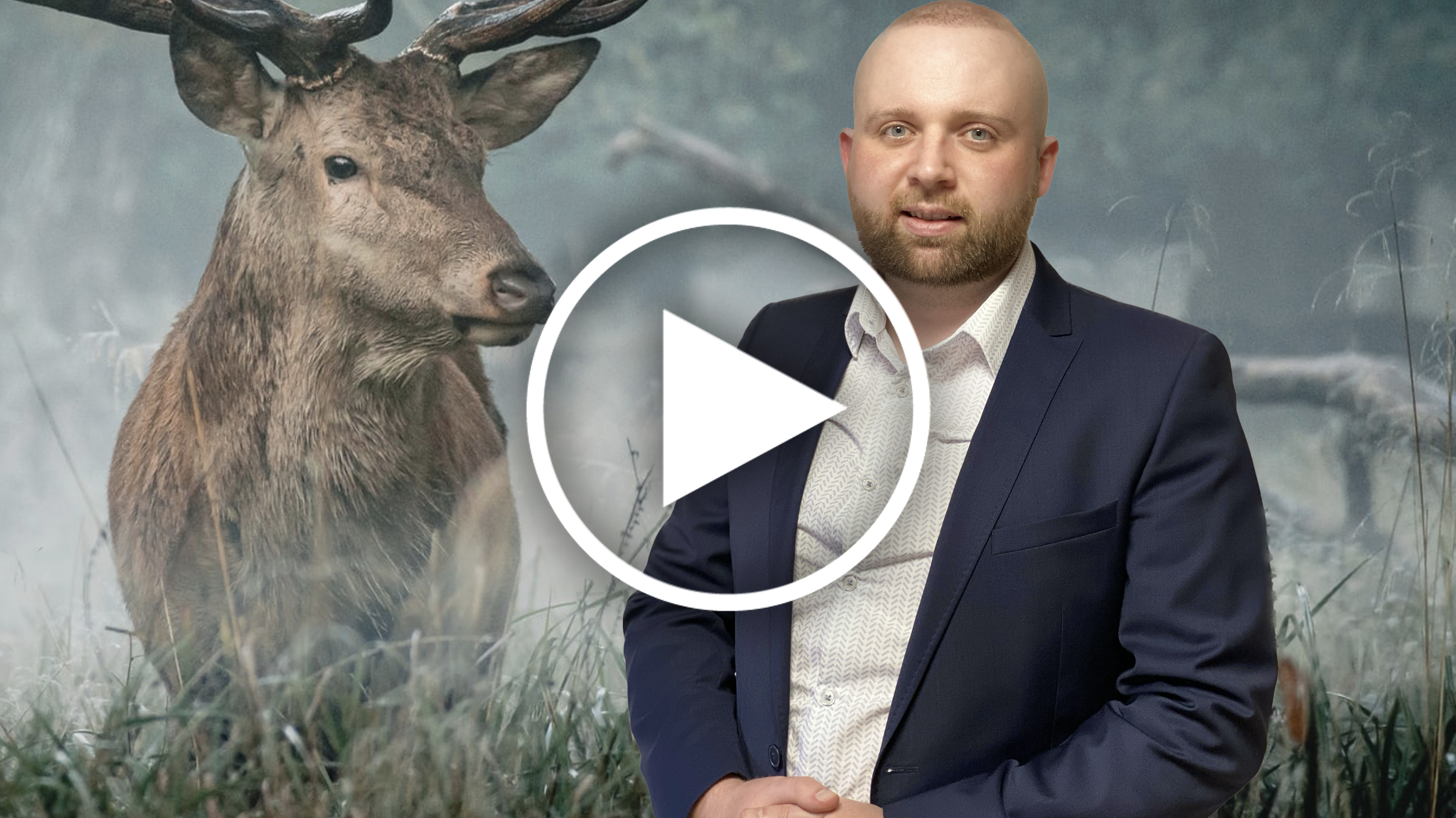 platzhirschmakler-onlinekurs-marketing.png