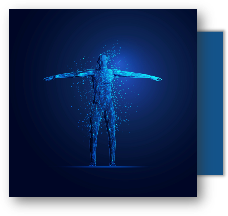 body.png