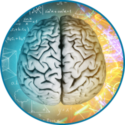 desc_brain.png