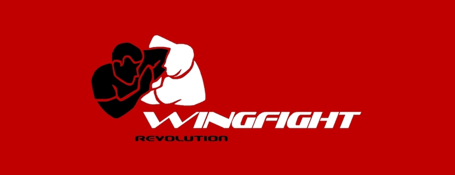 WingFight PNG 1.png