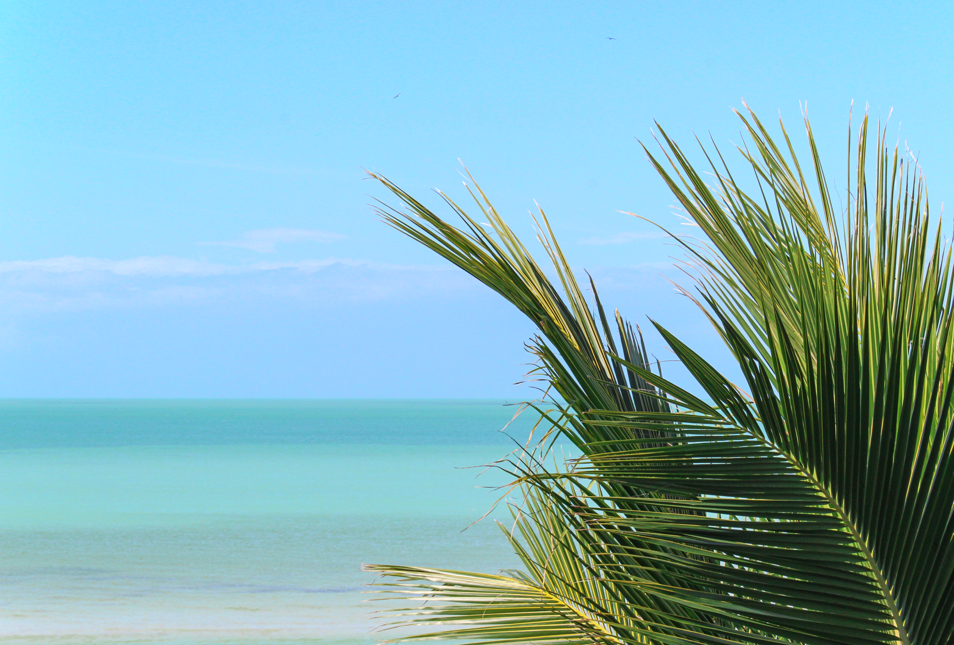 Türkisblaues Meer und weißer Sandstrand auf Sansibar