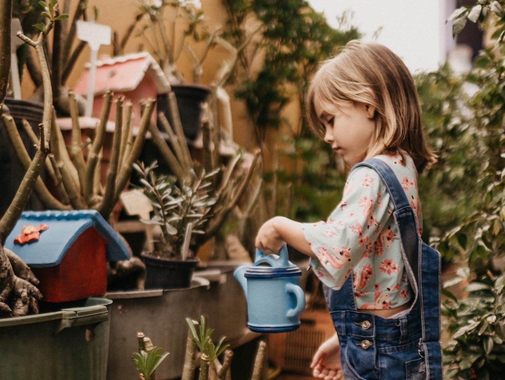 Hochsensibelität verstehen und begleiten