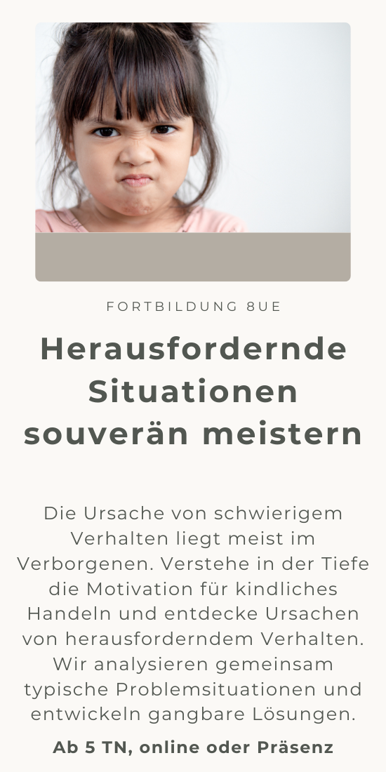 Herausfordernde Situationen meistern Bild.png