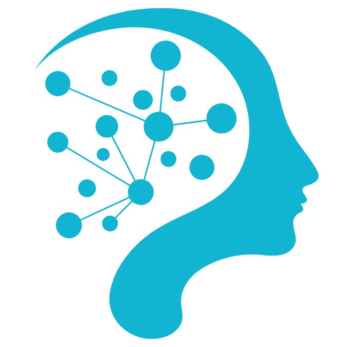 neuronen nerven