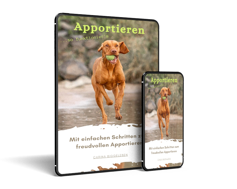 SQ_Apportieren_Cover3.png