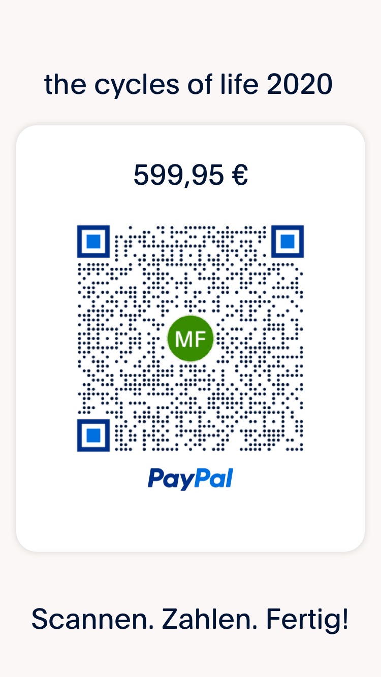 PayPal 599.JPG