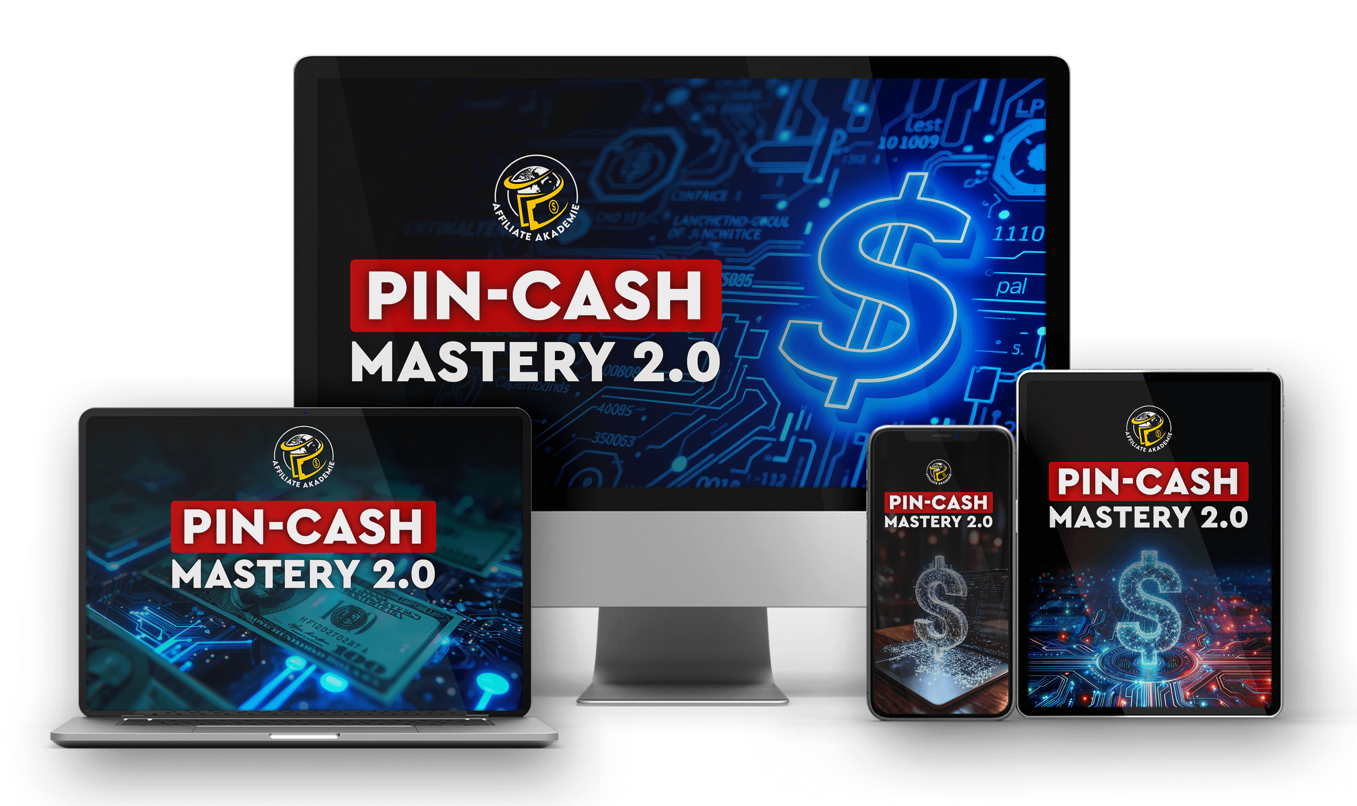 Pin Cash mastery 2.0.png