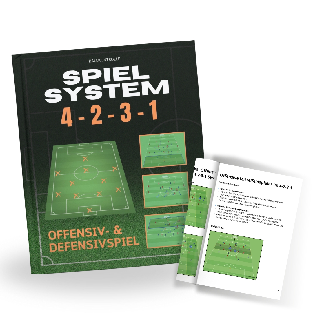 Spielsystem 4-2-3-1 Werbefoto.jpg