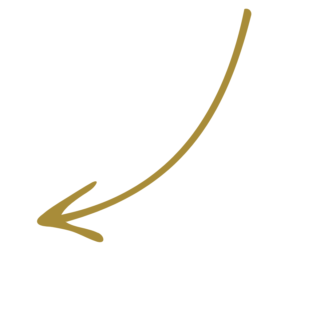 Logo TAXXIT (27).png