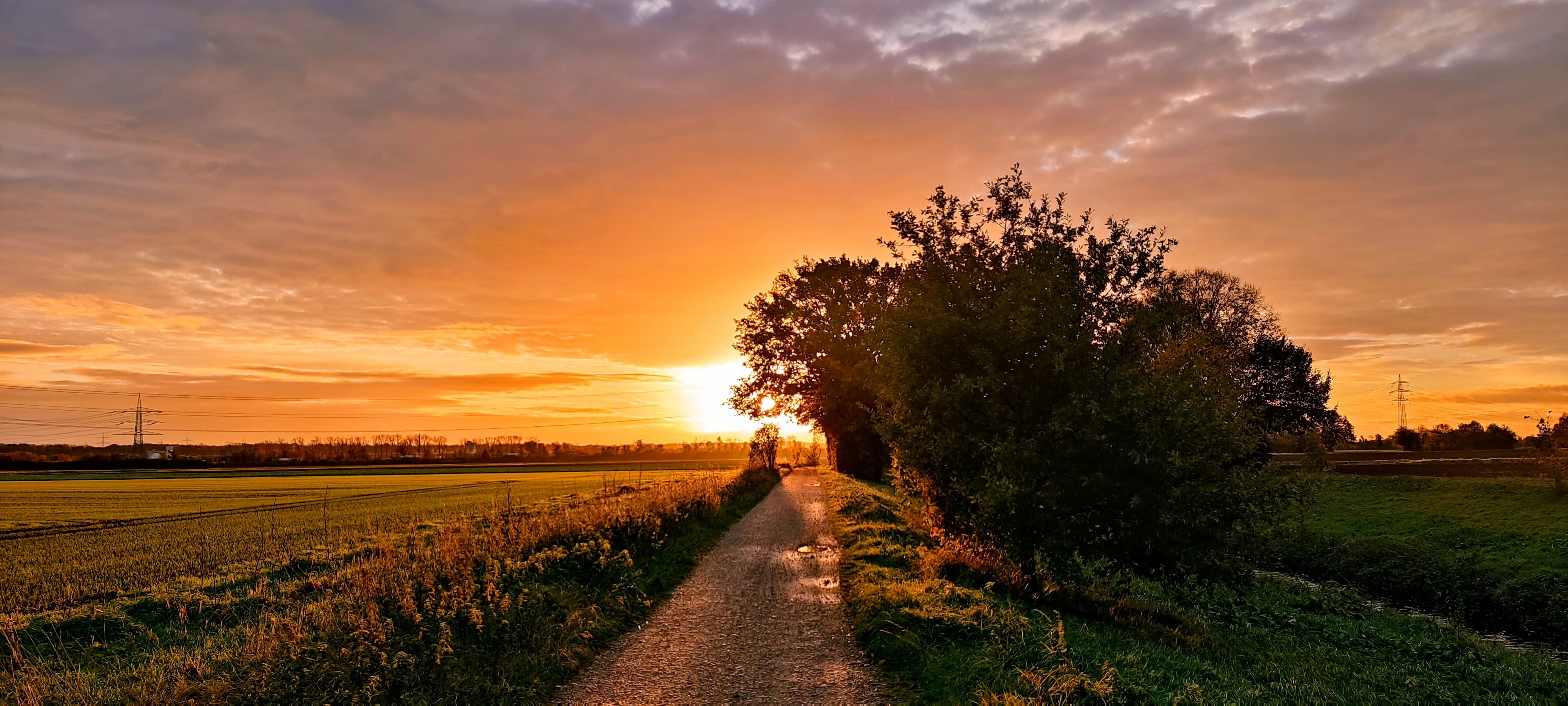 Sonnenaufgang über einem Weg in Kerpen – Symbol für neue Perspektiven und Klarheit in der psychologischen Beratung