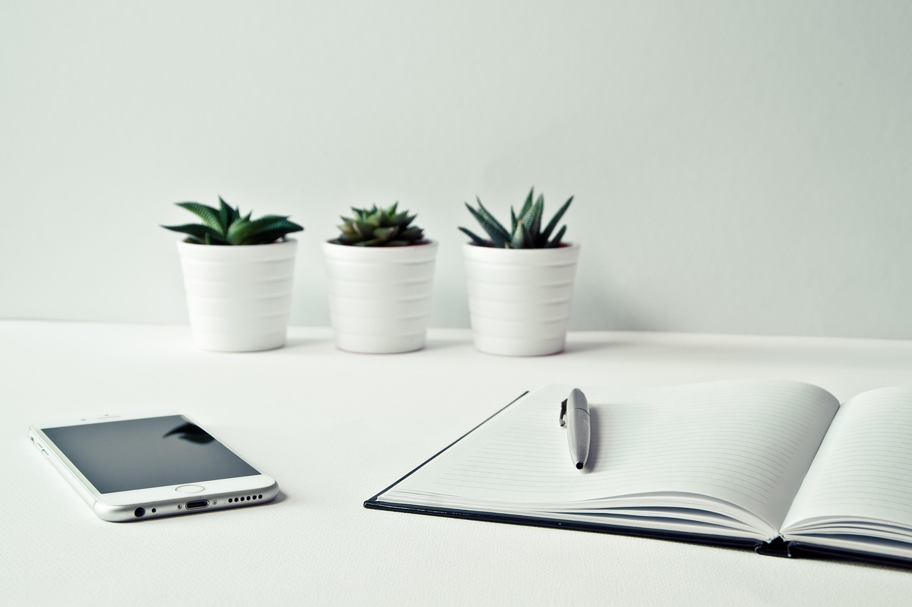 Heller Schreibtisch mit drei kleinen Pflanzen, einem Notizbuch, einem Stift und einem Smartphone – minimalistisches Setting für Online-Beratung.