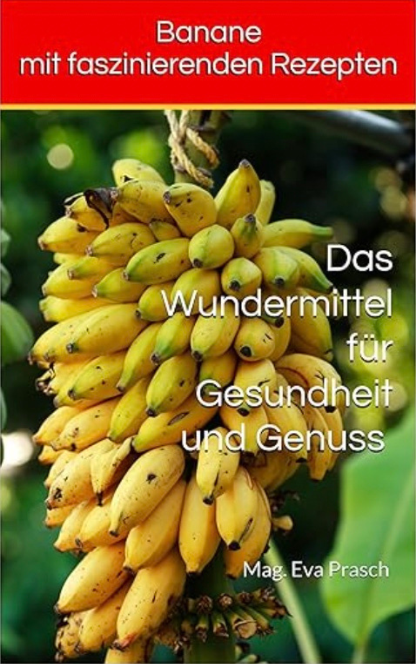Buch Banane mit faszinierenden Rezepten.png