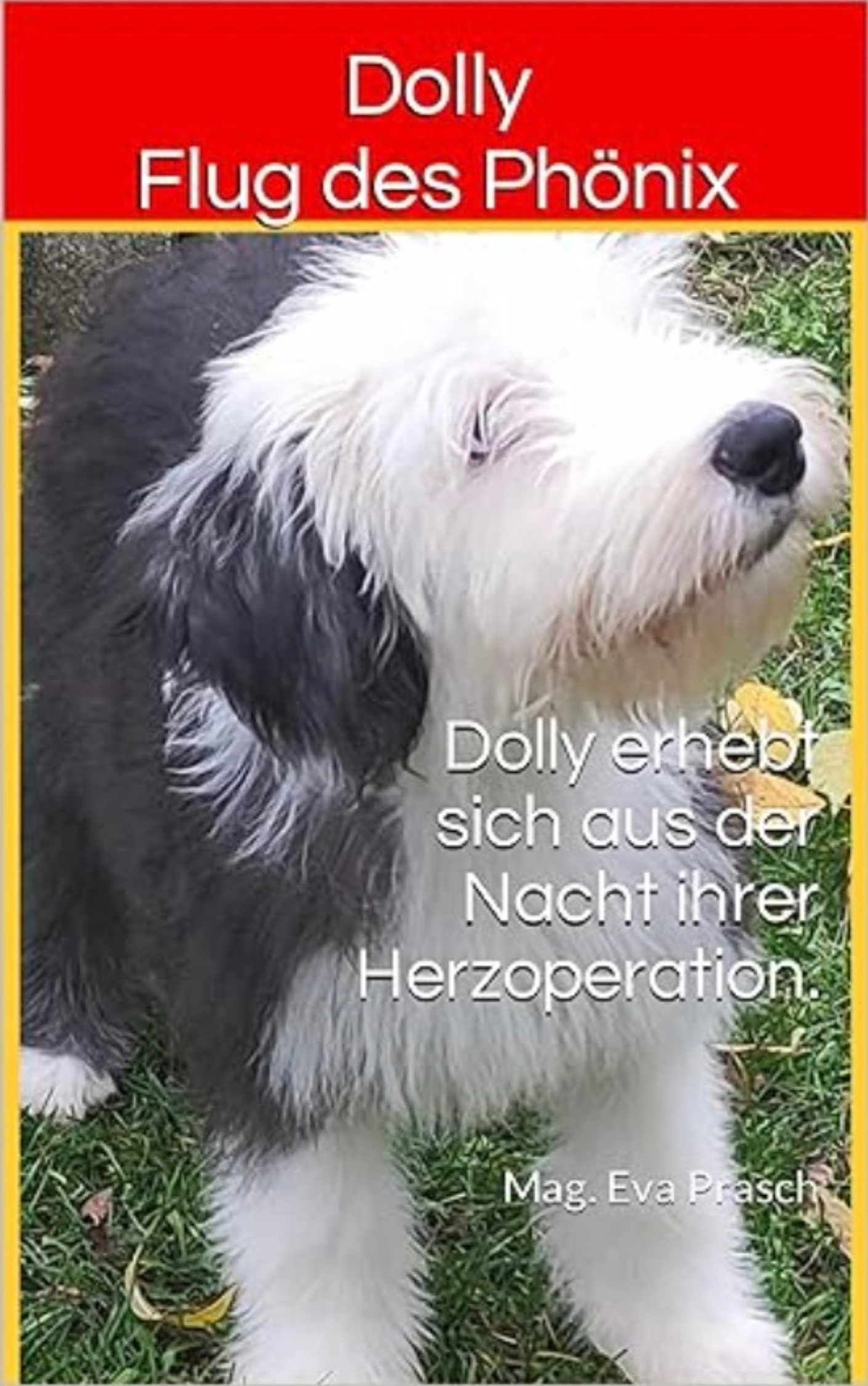 Dolly-Flug des Phönix.png