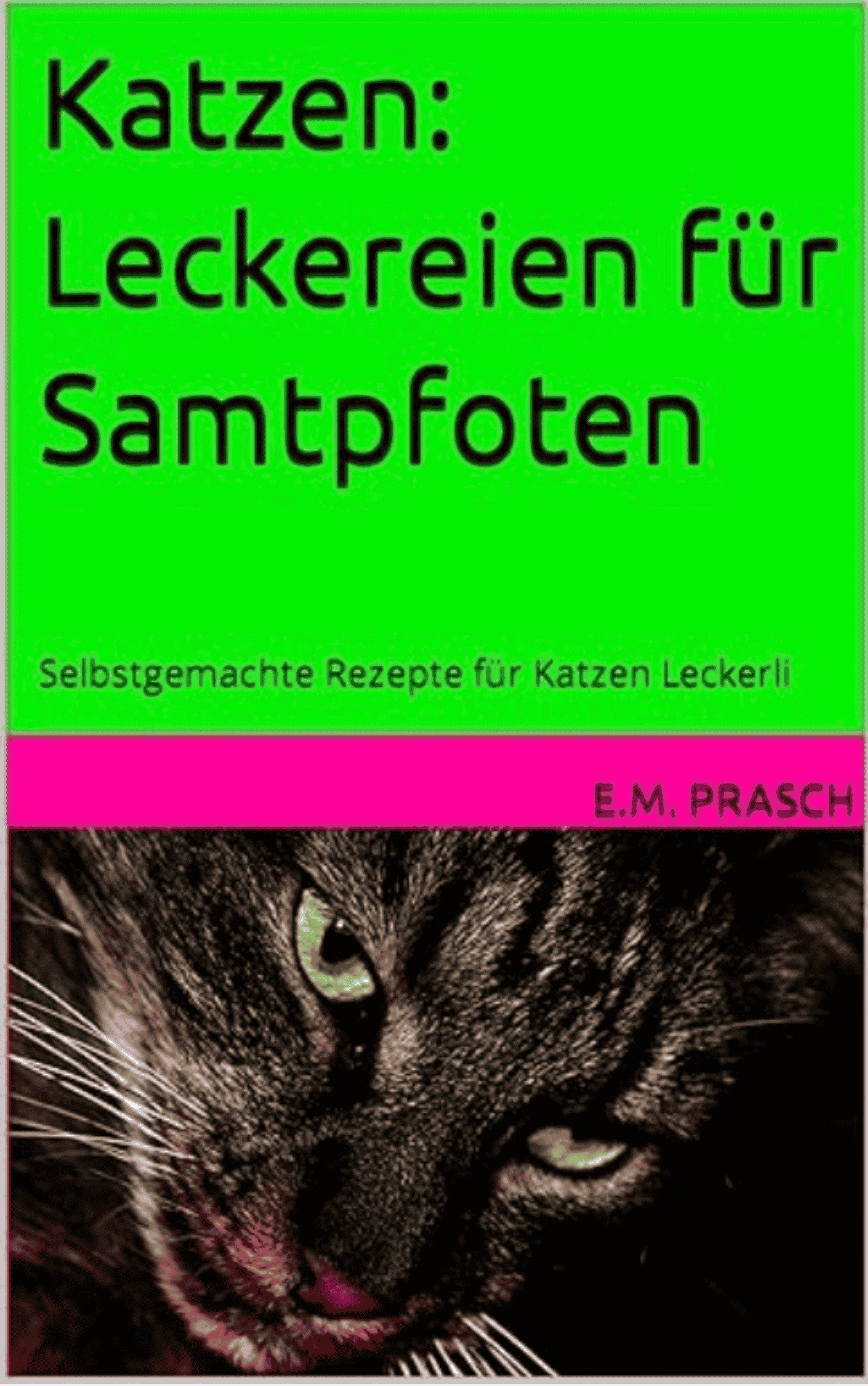 Buch Katzen Leckereien für Samtpfoten (1).png