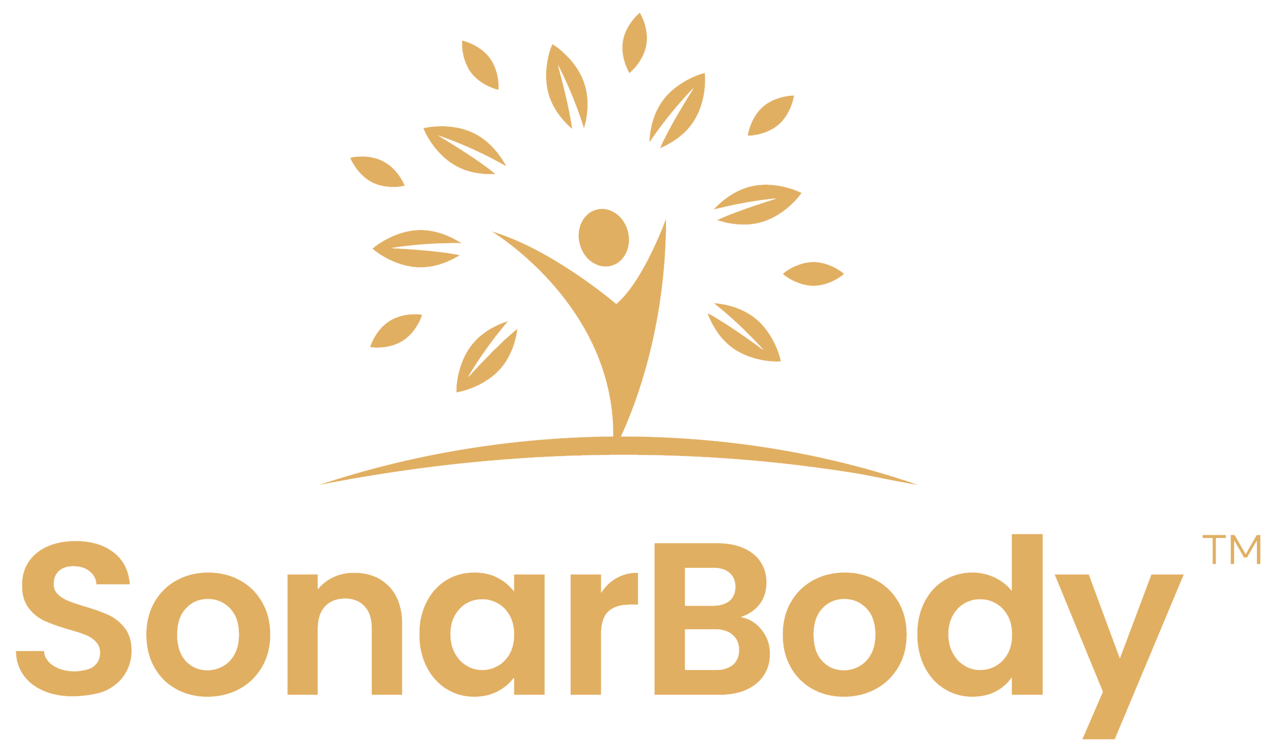 sonarbody_logo.png