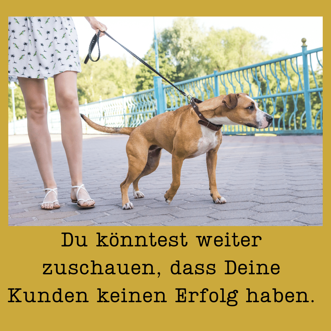 Du könntest Dich weiter mit Absagen und Umplanungen beschäftigen..png