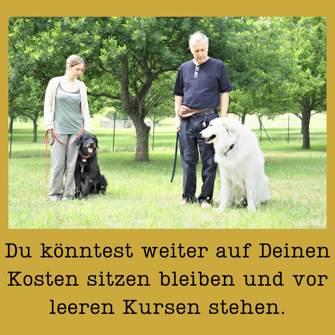 Du könntest Dich weiter mit Absagen und Umplanungen beschäftigen.(3).png