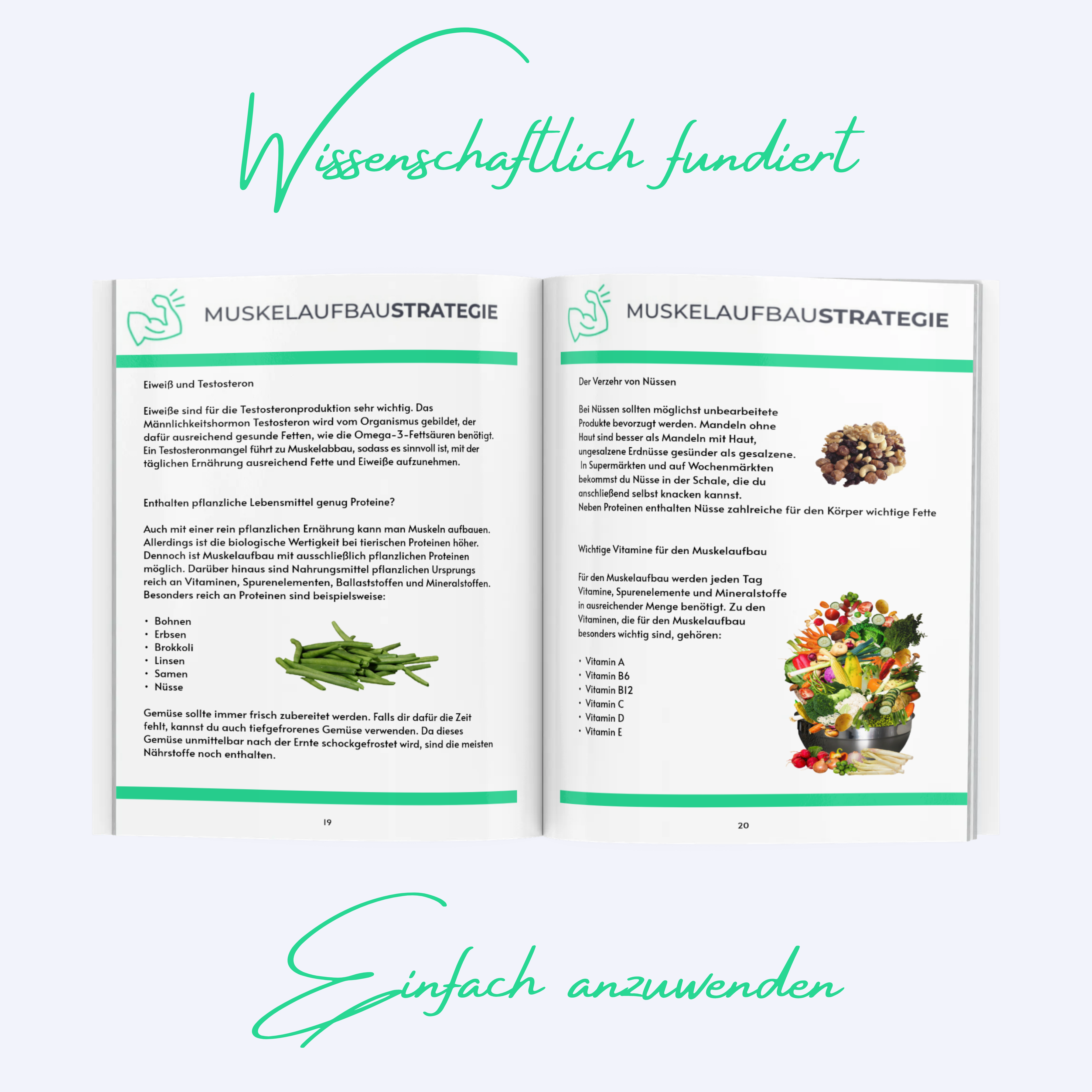 Fitnessbuch, Muskelaufbau, Ernährung, Fitnesstraining, download