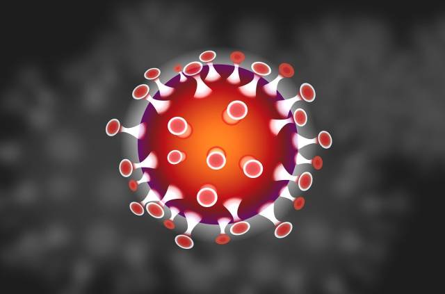 Coronavirus | BMF legt Maßnahmenpaket zu Corona vor
