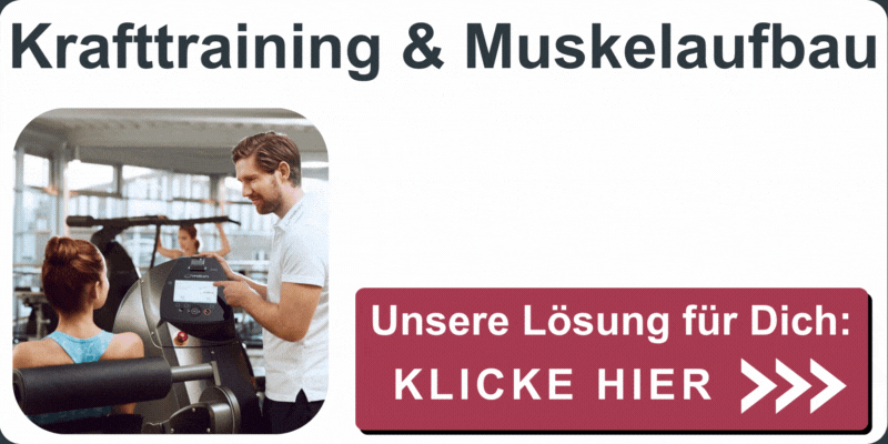 Muskulatur (3).gif