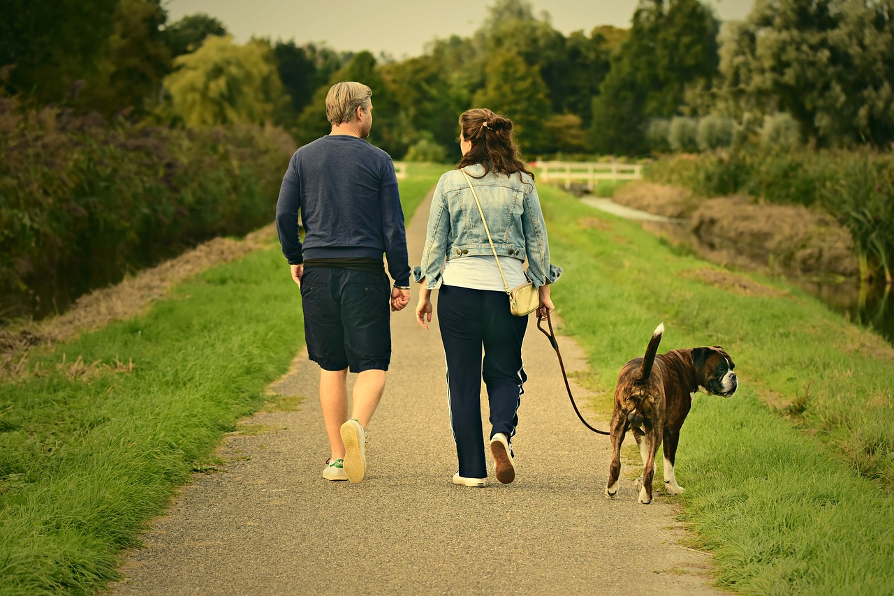 Mann,Frau und Hund Spaziergang Schlaganfallvorbeugung