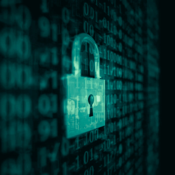 GHM HYM wallet security.png