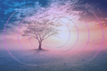 Healing Codes skaliert.png