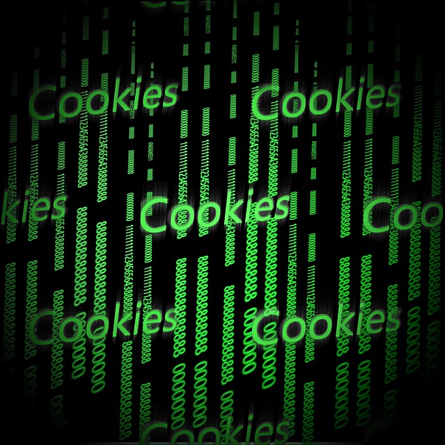 Cosa sono i Cookies?