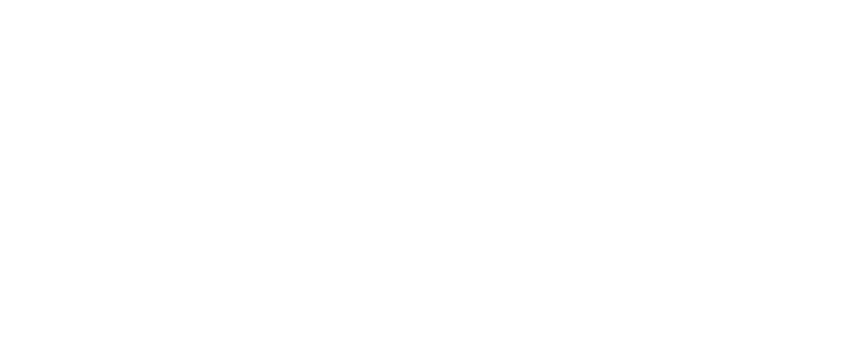6629146f48d46_Logo_DirkKreuter_2018_wei.png