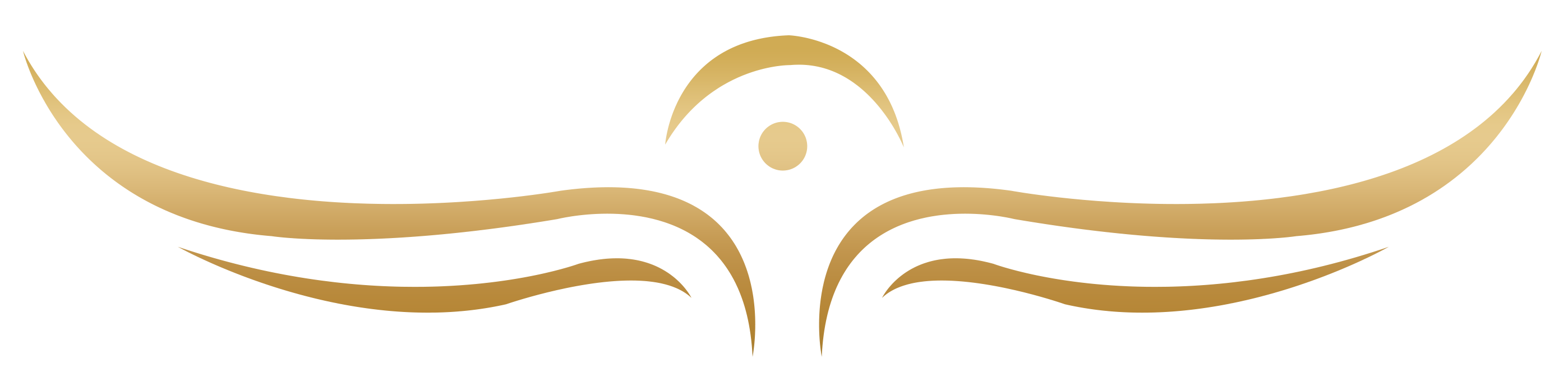 logo 1.png