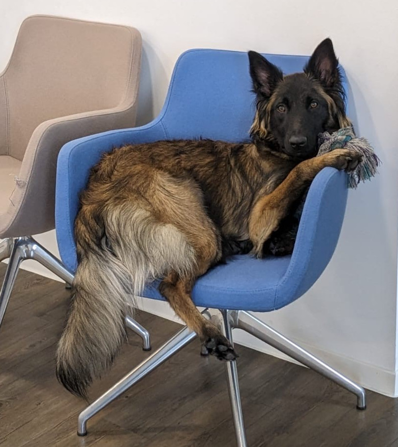 Giulia auf dem Stuhl1.jpg