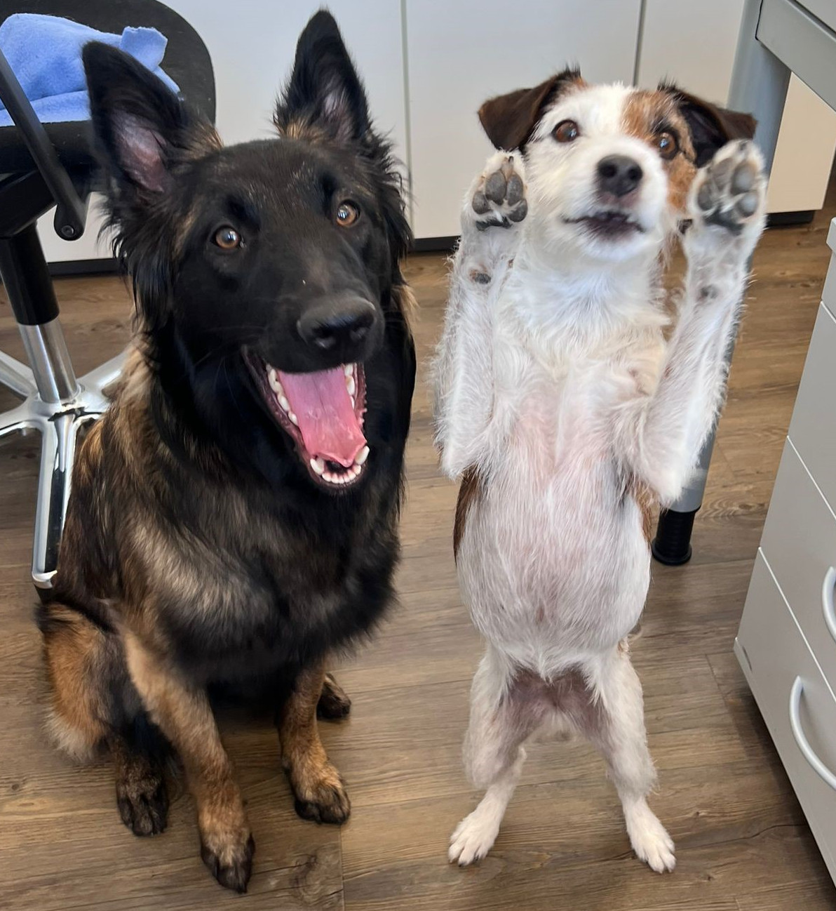 Giulia und Luna1.jpg