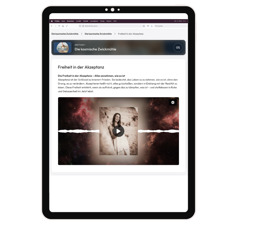 Mockup iPad Akzeptanz.png