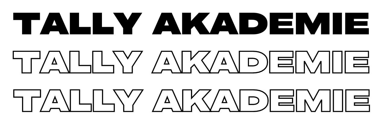 TALLY AKADEMIE-2.png