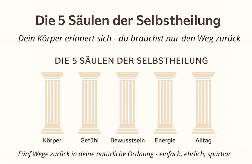 5 Säulen neu 10 2025 klein.png