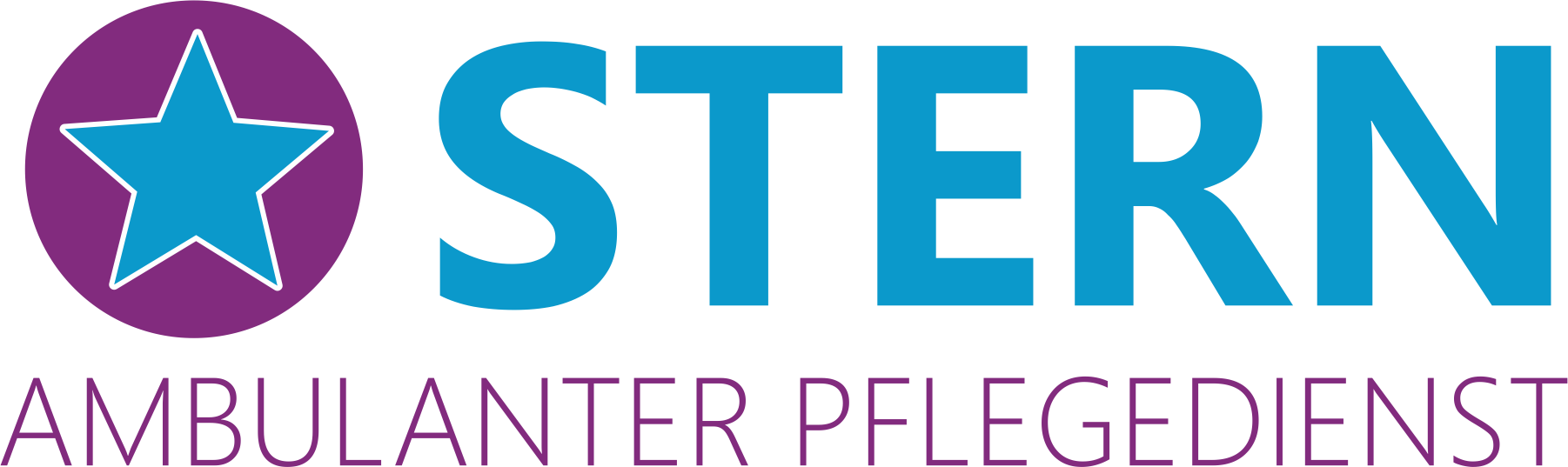RZ_Logo STERN.png