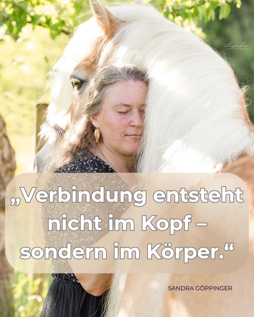 Ruhiger Moment von Sandra mit ihren beiden Pferden