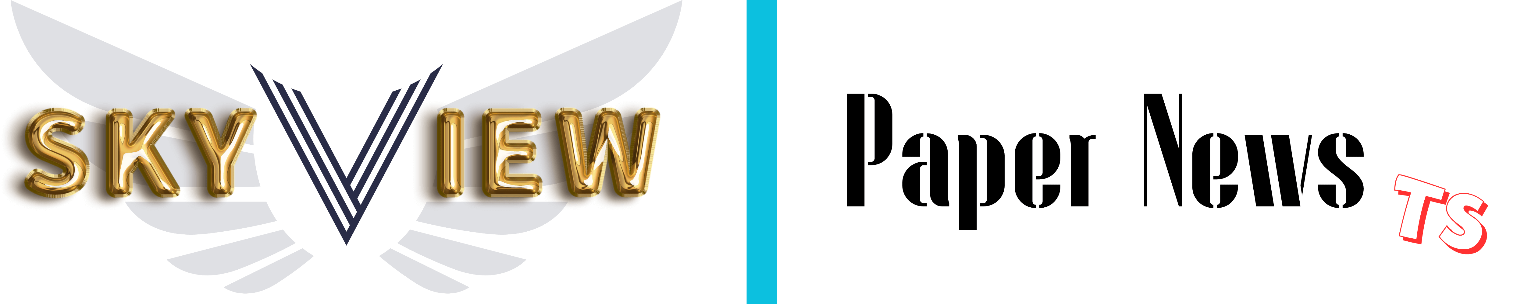 Paper News TS Tiny.png