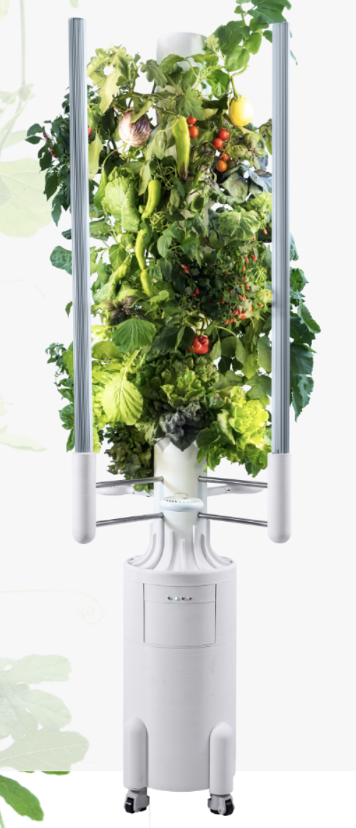 greenyGARDEN® – gesundes Gemüse aus dem Garten der Zukunft