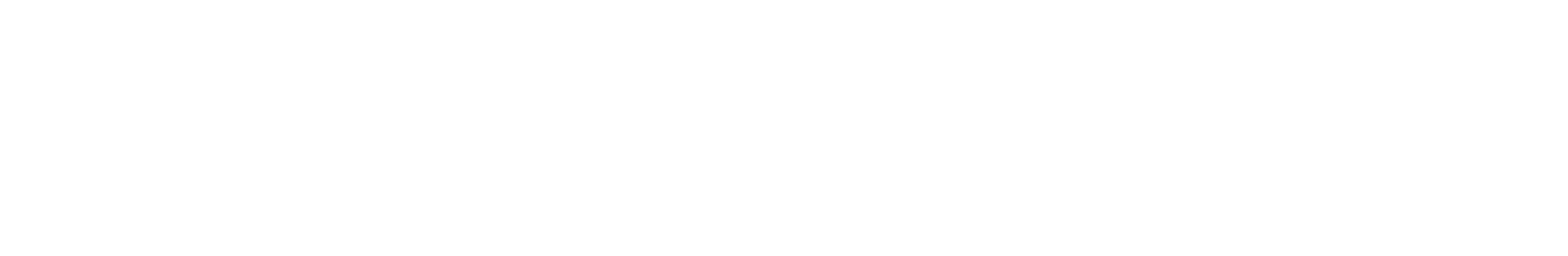 logo-horizontal-white_christin_voigt.png