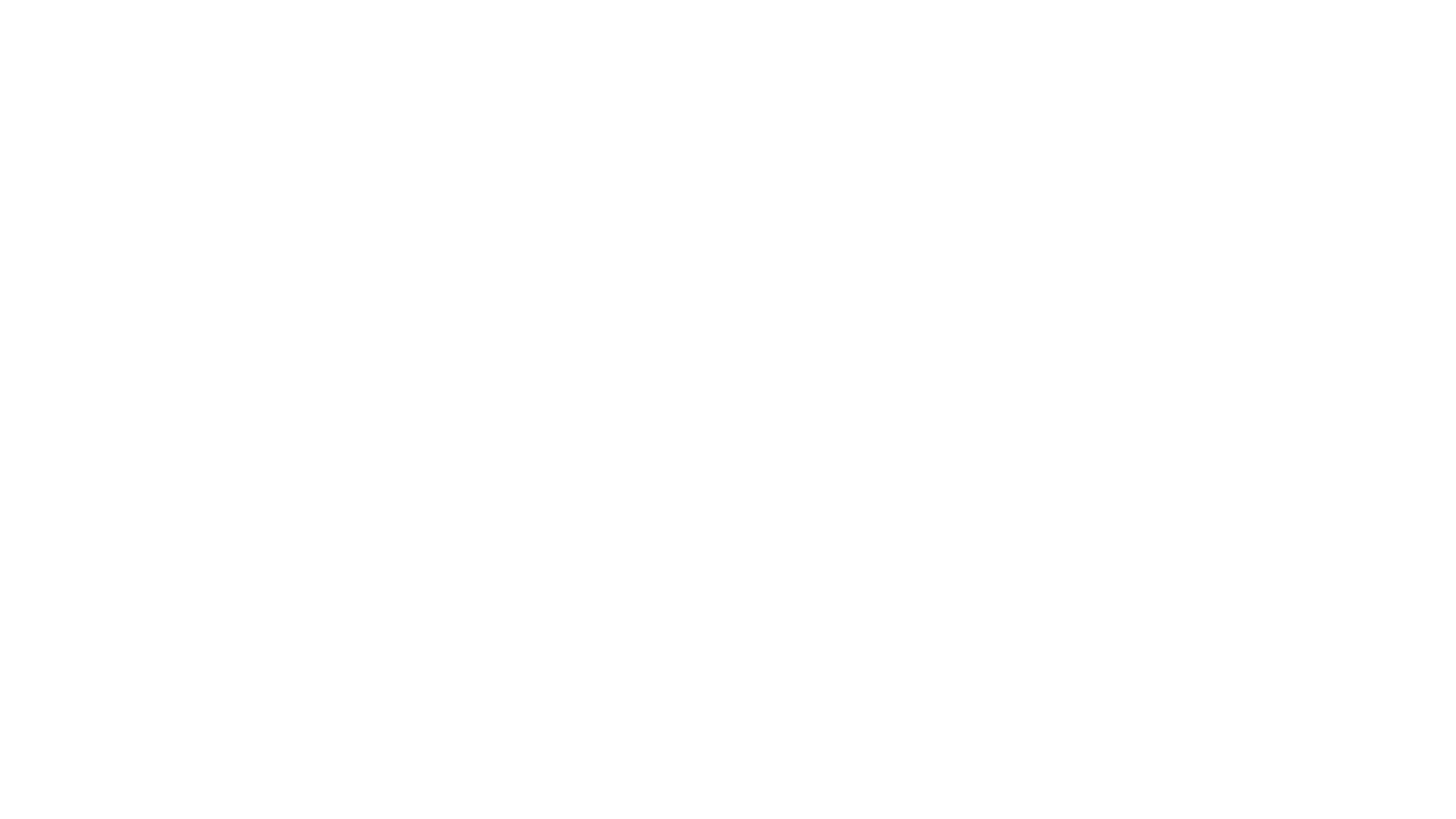 pp kurs seite logo.png