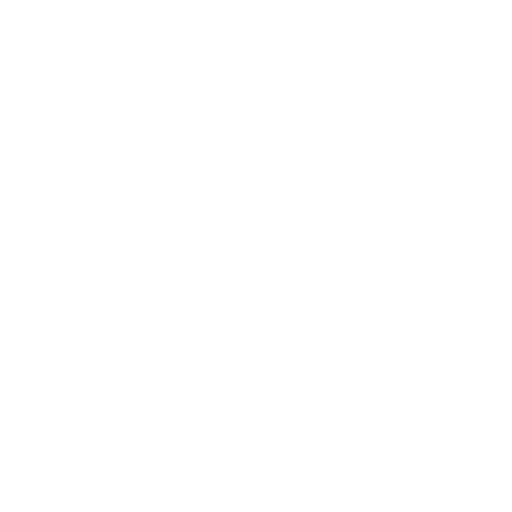 brain (3).png