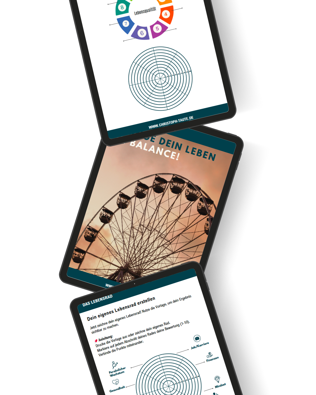 Lebensrad mock up .png