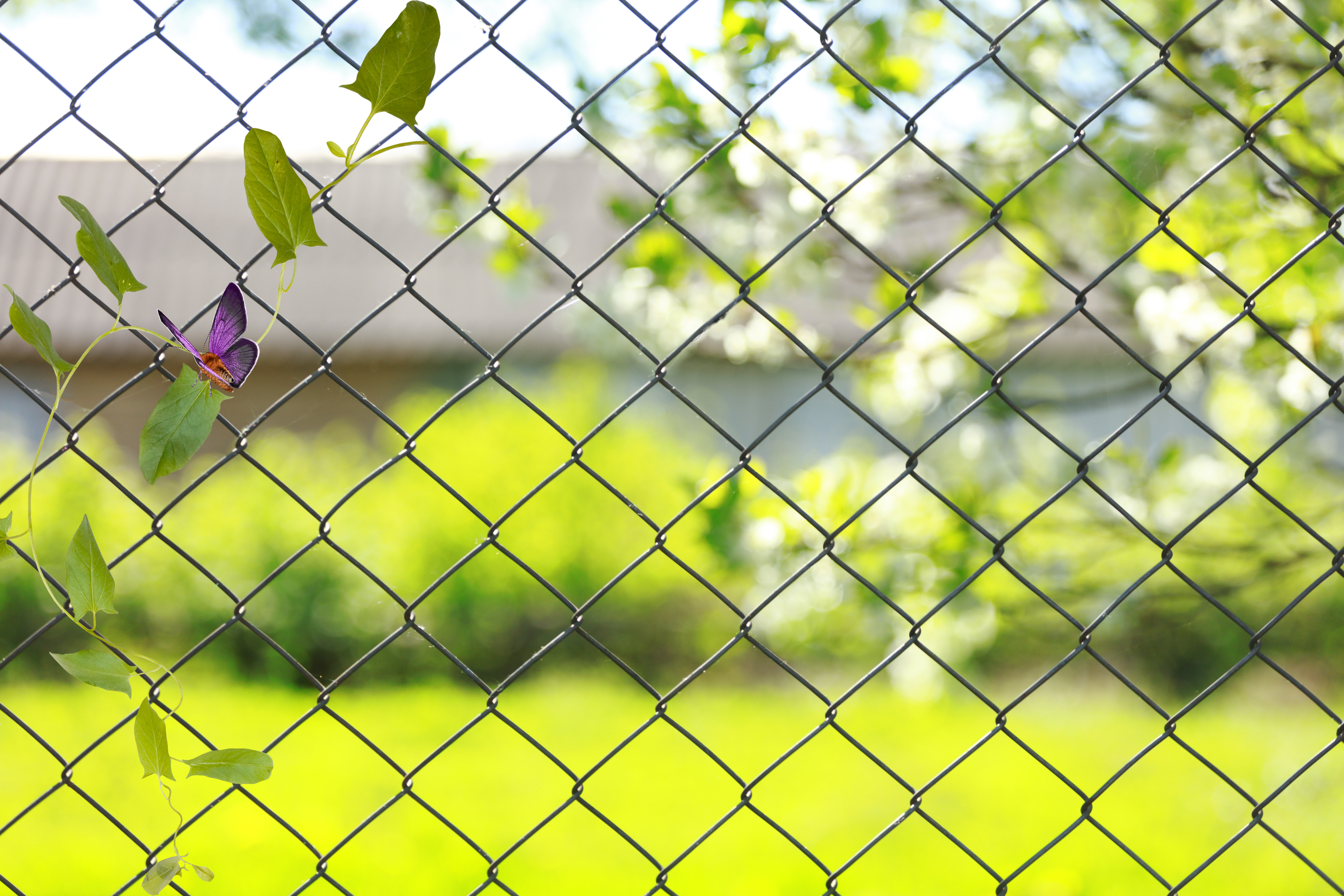 AdobeStock_1452562748.jpeg