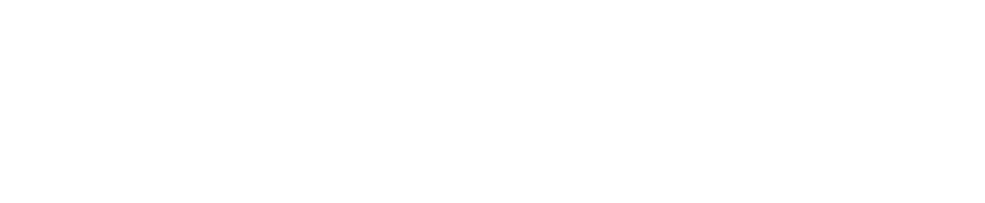 Navigation Logo