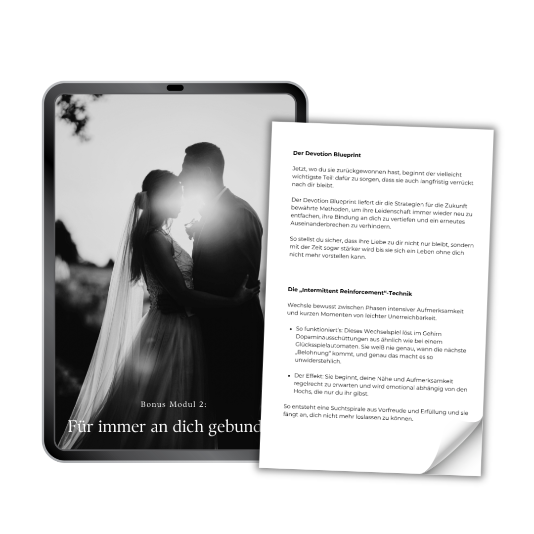 Design ohne Titel - 2025-09-17T112422.836.png